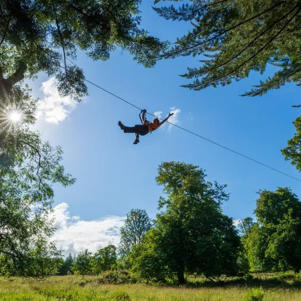 Zip-lining under a clear blue sky amidst lush green trees in Cork is the perfect family-friendly adventure, with the sun shining brightly through the branches for unforgettable mid-term break memories.