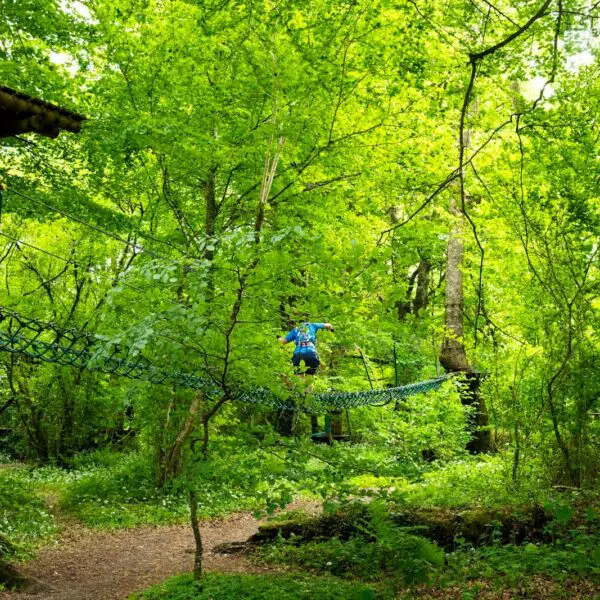 A person wearing a blue jacket crosses a suspended rope bridge in a green, leafy forest adventure park, enjoying the beauty of nature and a bit of forest bathing in Ireland.