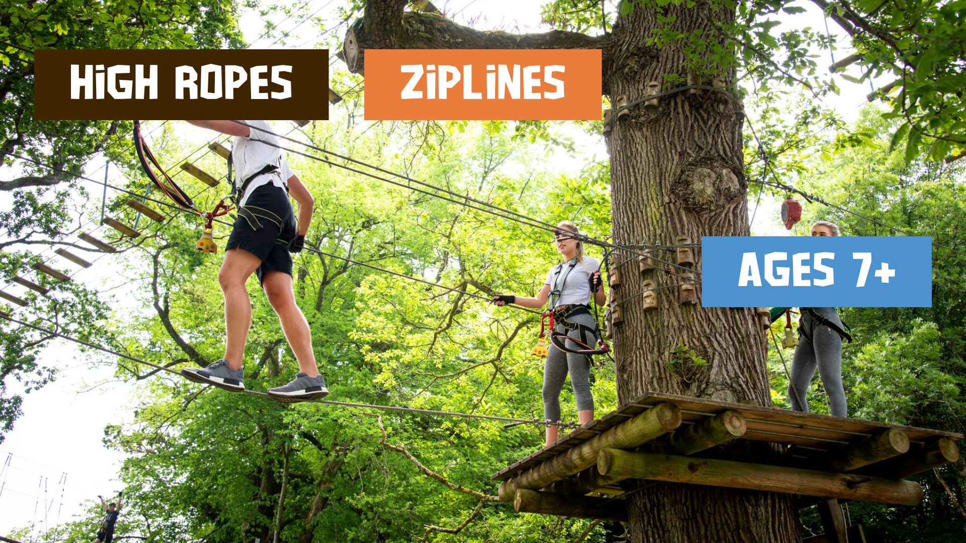 Three people with harnesses cross a high ropes obstacle course in a forest at Zipit Farran Park. Signs read “High Ropes”, “Ziplines”, and “Ages 7+”.