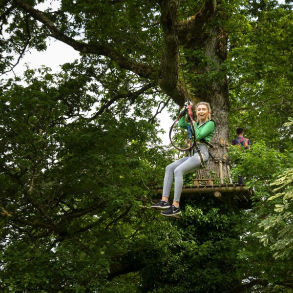 Perched on a makeshift wooden platform high in the trees of Lough Key Forest and Activity Park, a person grips a rope, enveloped by lush green foliage. It's an invigorating mid-term activity that immerses you in nature’s serene embrace.