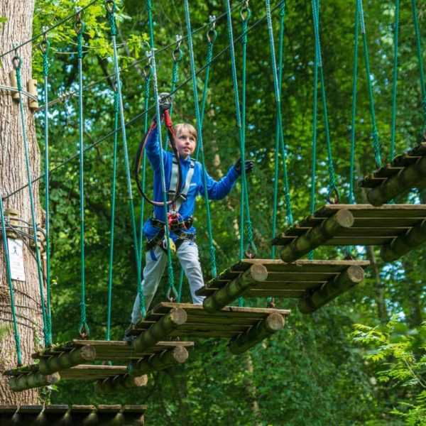 A child in a blue jacket crosses a suspended wooden rope bridge in a forest, secured with a harness.
