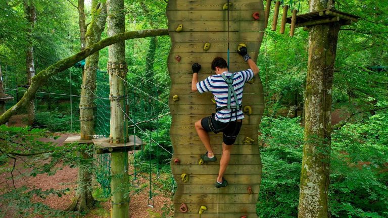 Person climbing a wooden wall with colorful holds in a forest adventure park.