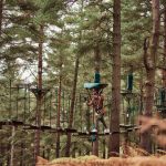 Person on a treetop rope course suspended between trees, surrounded by green foliage and tall pine trunks.