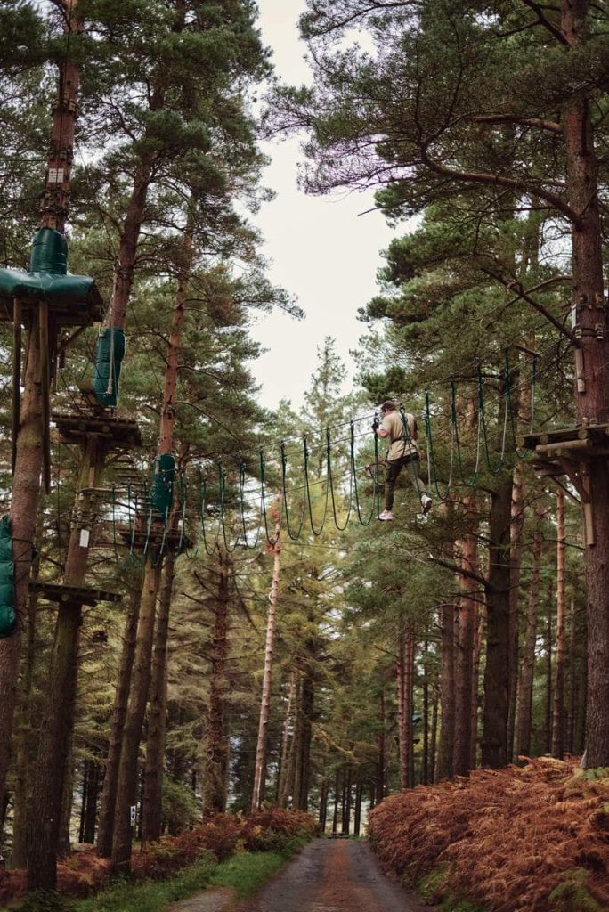 Person crossing a rope bridge in a forest adventure park, surrounded by tall trees.