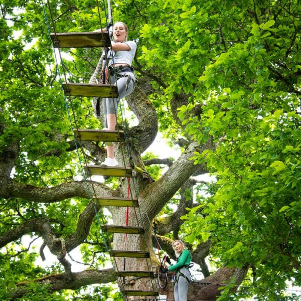 Two people are navigating a rope bridge in a tree, surrounded by lush green leaves. One person is on the bridge, while the other is standing on a wooden platform.