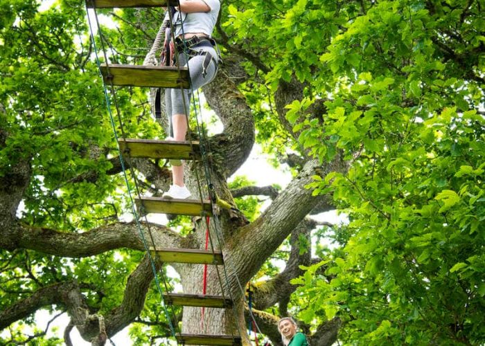 Two people are navigating a rope bridge in a tree, surrounded by lush green leaves. One person is on the bridge, while the other is standing on a wooden platform.