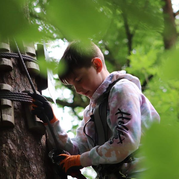 A person secured with a harness climbs a tree among lush green leaves, wearing gloves and a hoodie.