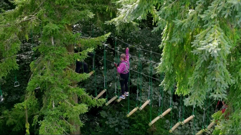 Person in a pink jacket crosses a rope bridge in a forest, surrounded by lush green trees.
