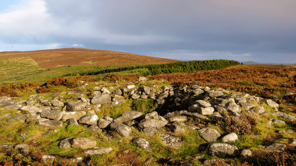 Tibradden Wood's stone circle ruin is nestled within a grassy landscape and heather, framed by distant hills and a cloudy sky. Visit the Local Area Guide for more breathtaking sites like this.