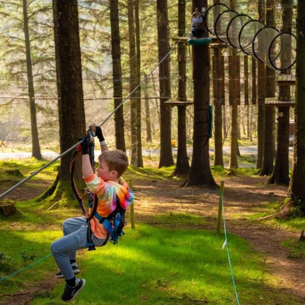 A child wearing a harness rides a zip line in a forest adventure park, surrounded by tall trees and grass.