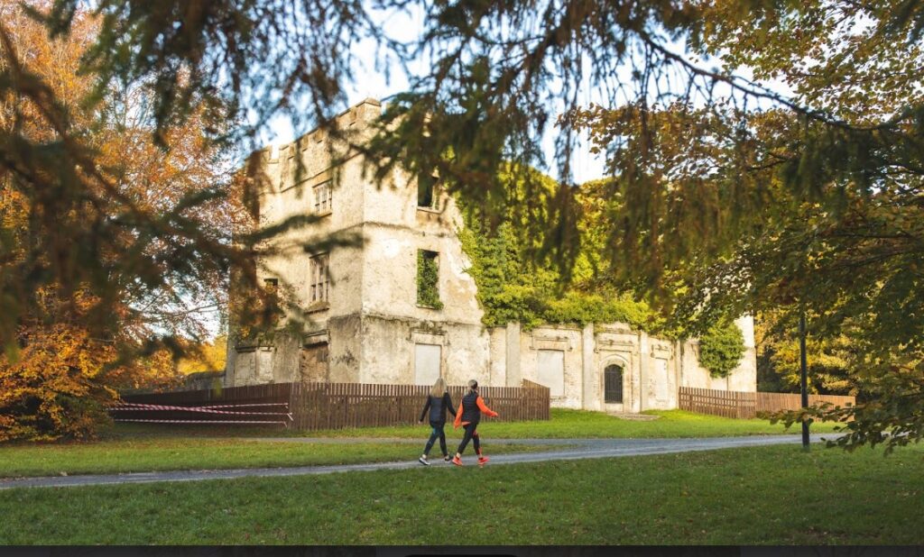 Two people explore a path near an old, partially collapsed building, enveloped by the lush greenery of Hidden Forest Adventures in Ireland.