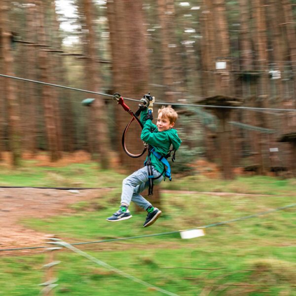 A child wearing a harness rides a zipline through a forested area, with trees and elevated platforms in the background.