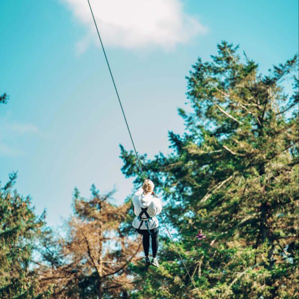 A person wearing a harness is ziplining high above the ground with tall evergreen trees in the background under a blue sky, embracing adventure at Zipit in celebration of World Environment Day 2025.