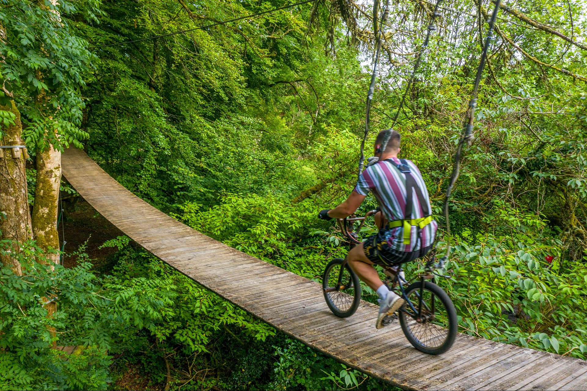 A person enjoys an outdoor escape, riding a bicycle on a narrow wooden suspension bridge surrounded by dense green forest.