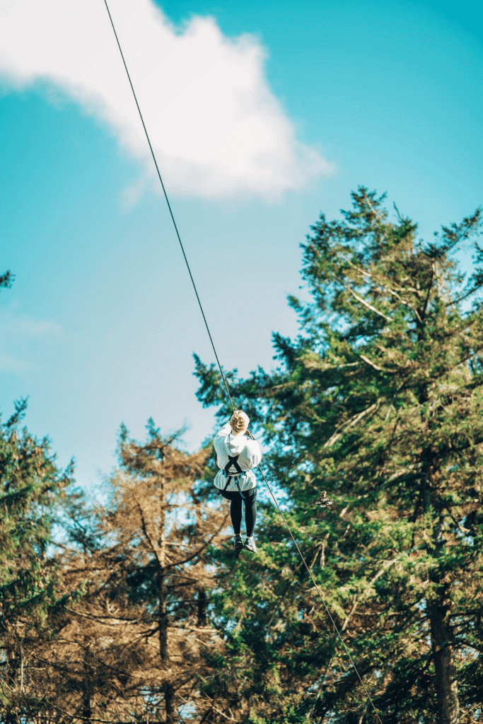 Soar through the treetops at Zipit in Djouce Park, riding a zipline high above as your local area guide points out stunning views under a clear blue sky with a single white cloud.