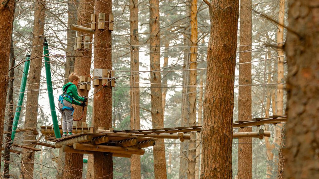 A child wearing safety gear stands on a wooden platform in a forest, participating in an elevated ropes course among tall trees—one of the top outdoor activities Ireland offers all year round.