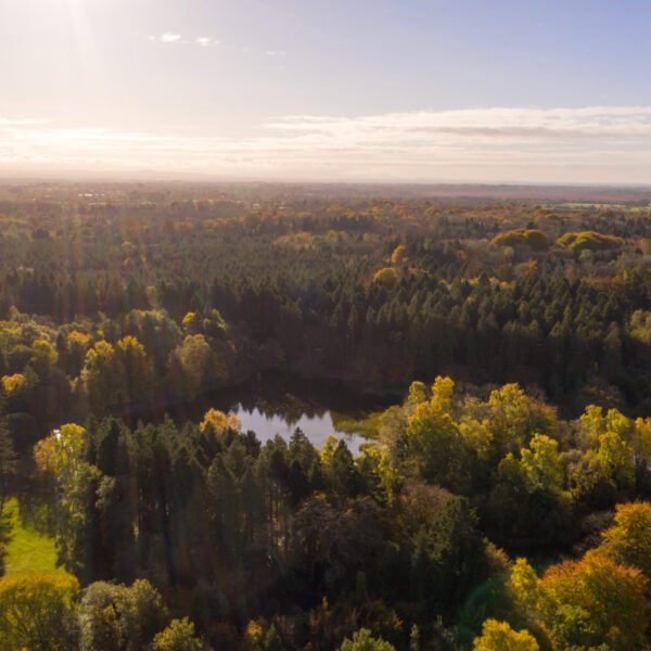 Aerial view of a forested landscape with a small lake at the center, trees in autumn colors, and sunlight streaming through a partly cloudy sky.