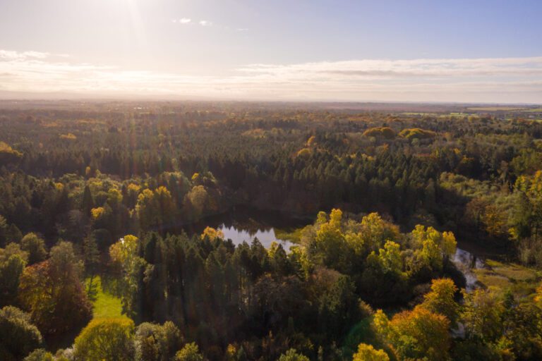 Aerial view of a forested landscape with a small lake at the center, trees in autumn colors, and sunlight streaming through a partly cloudy sky. Aerial view of a forested landscape with a small lake at the center, trees in autumn colors, and sunlight streaming through a partly cloudy sky.