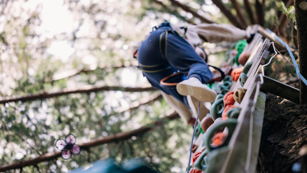 Person wearing a harness climbs a vertical wall with colorful holds, surrounded by trees—an outdoor setting perfect for those seeking to build resilience through adventure activities in Ireland.