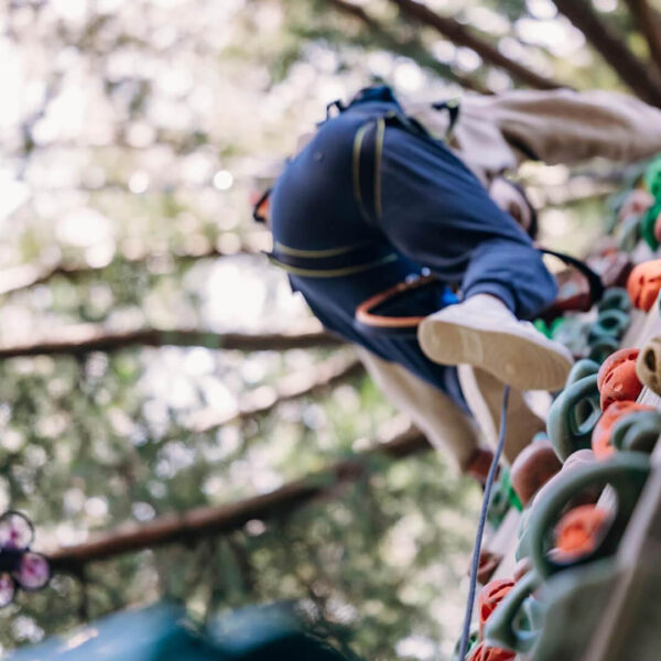 Person wearing a harness climbs a vertical wall with colorful holds, surrounded by trees—an outdoor setting perfect for those seeking to build resilience through adventure activities in Ireland.